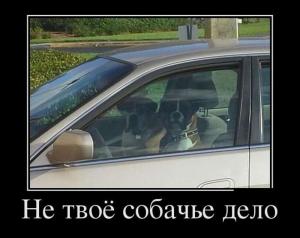 Автомобильные демотиваторы часть 119)