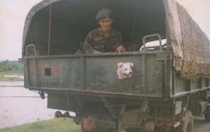 Автомобильная фотоподборка часть 121)