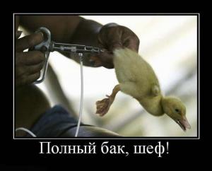 Автомобильные демотиваторы часть 121)