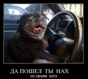 Автомобильные демотиваторы часть 122)