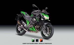 2014 Kawasaki Z800 Performance Edition