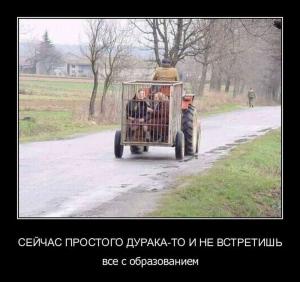 Автомобильные демотиваторы часть 124)