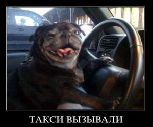 Автомобильные демотиваторы часть 124)