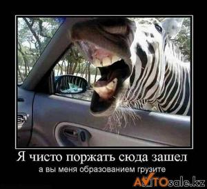 Автомобильные демотиваторы часть 125)