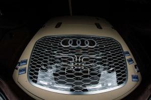 Volkswagen & Audi Festival 2014