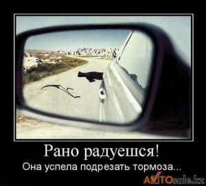 Автомобильные демотиваторы часть 126)