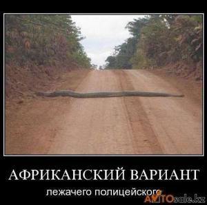 Автомобильные демотиваторы часть 126)