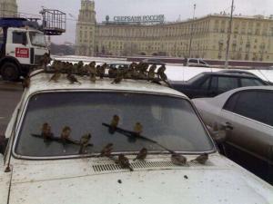 Автомобильная фотоподборка часть 127)