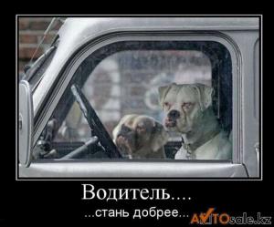 Автомобильные демотиваторы часть 128)