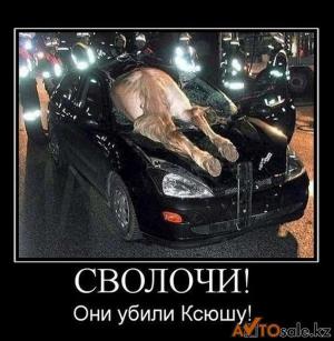 Автомобильные демотиваторы часть 129)