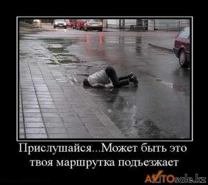 Автомобильные демотиваторы часть 129)