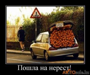 Автомобильные демотиваторы часть 130)