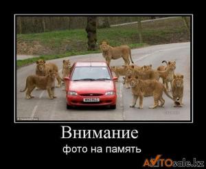 Автомобильные демотиваторы часть 130)