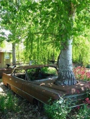 Автомобильная фотоподборка часть 131)
