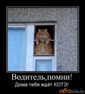 Автомобильные демотиваторы часть 131)