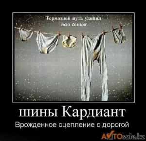 Автомобильные демотиваторы часть 131)