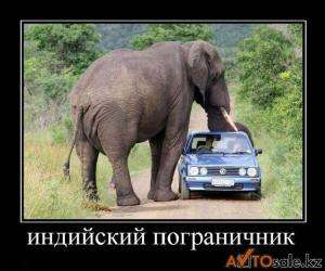Автомобильные демотиваторы часть 131)