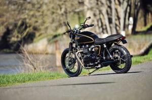 2014 Triumph Bonneville Gold Edition by FCR