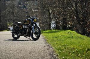 2014 Triumph Bonneville Gold Edition by FCR