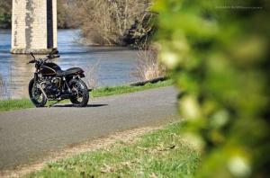 2014 Triumph Bonneville Gold Edition by FCR