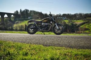 2014 Triumph Bonneville Gold Edition by FCR