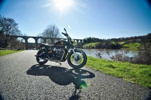 2014 Triumph Bonneville Gold Edition by FCR