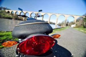 2014 Triumph Bonneville Gold Edition by FCR