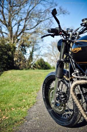 2014 Triumph Bonneville Gold Edition by FCR
