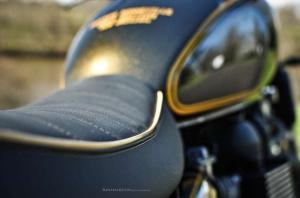 2014 Triumph Bonneville Gold Edition by FCR