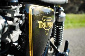 2014 Triumph Bonneville Gold Edition by FCR