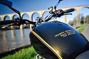 2014 Triumph Bonneville Gold Edition by FCR