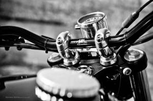 2014 Triumph Bonneville Gold Edition by FCR