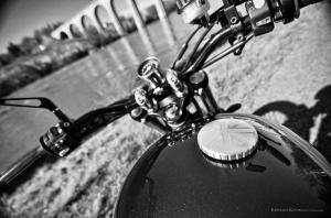 2014 Triumph Bonneville Gold Edition by FCR