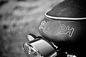 2014 Triumph Bonneville Gold Edition by FCR