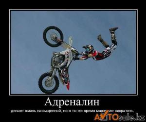 Автомобильные демотиваторы часть 133)