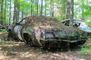 Old Car City
