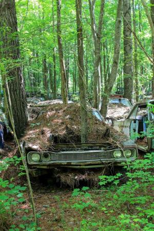 Old Car City