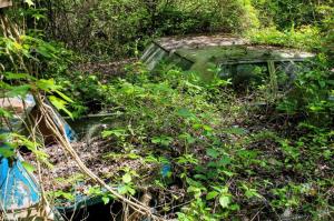 Old Car City