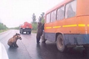 Автомобильная фотоподборка часть 136)