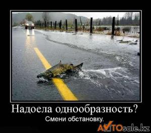 Автомобильные демотиваторы часть 136)