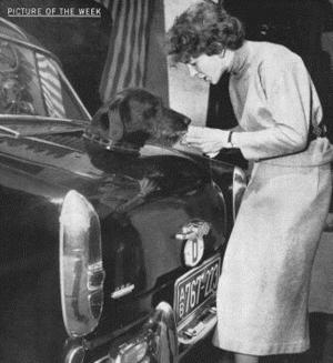 Автомобильная фотоподборка часть 138)
