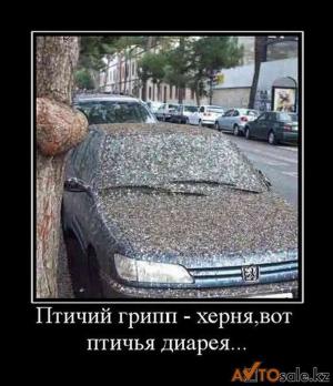 Автомобильные демотиваторы часть 138)
