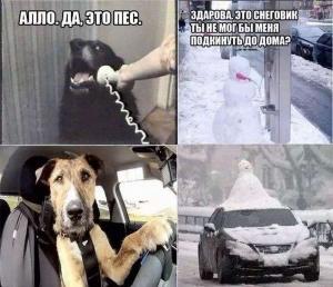 Автомобильные демотиваторы часть 140)
