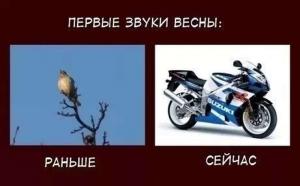 Автомобильные демотиваторы часть 141)
