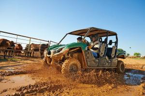 2014 Yamaha Viking VI