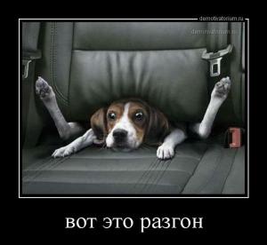 Автомобильные демотиваторы часть 146)