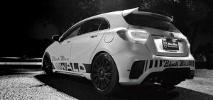 2014 Mercedes-Benz A-Class Black Bison by Wald