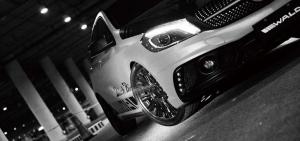 2014 Mercedes-Benz A-Class Black Bison by Wald