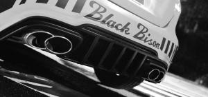 2014 Mercedes-Benz A-Class Black Bison by Wald