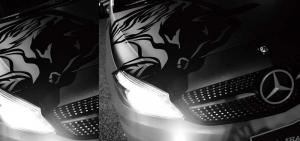 2014 Mercedes-Benz A-Class Black Bison by Wald